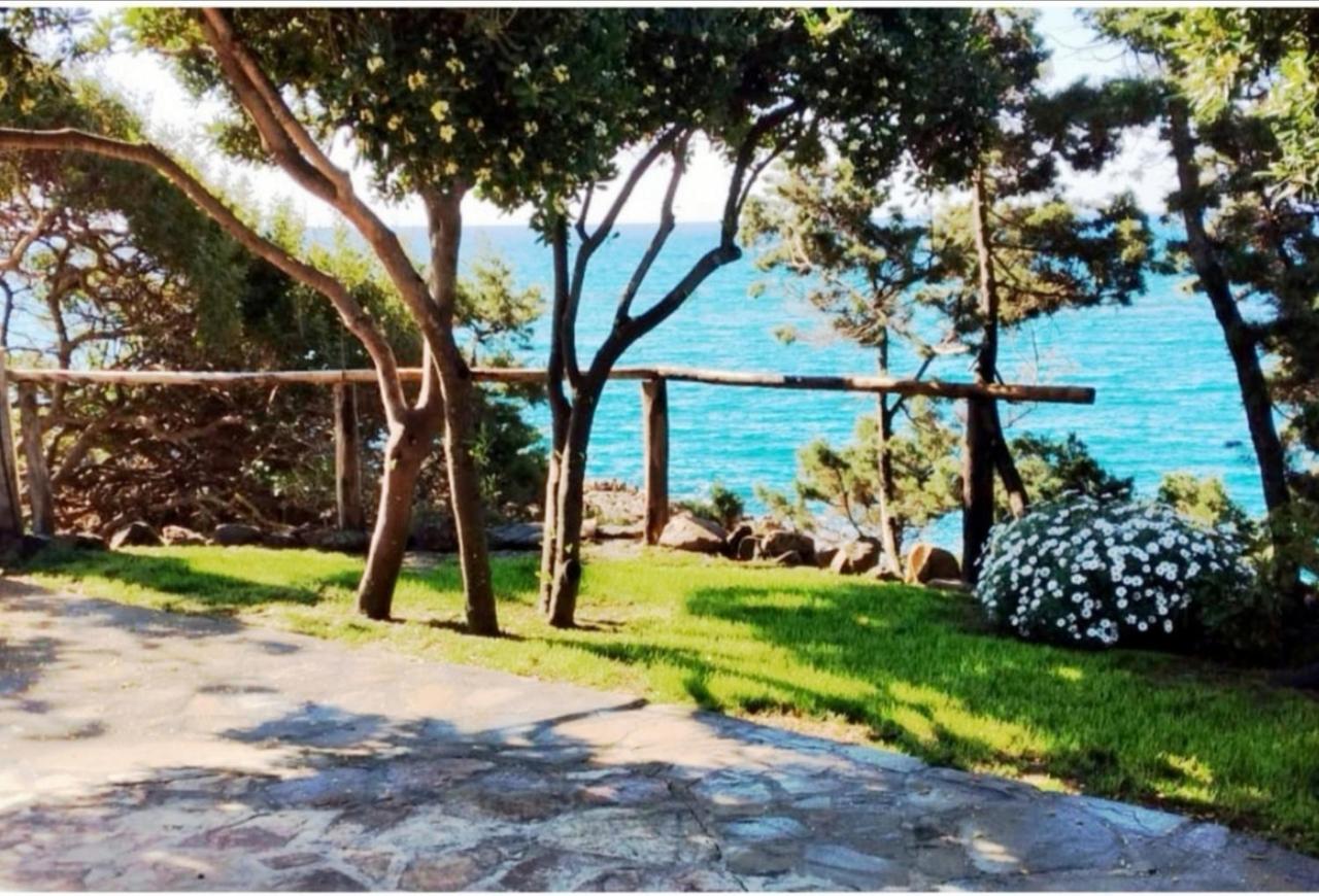 Villa Vera Trifamigliare Con Ingresso Diretto 20 Mt Al Mare Clima Wi-Fi Bbq カーラ・リベロット エクステリア 写真