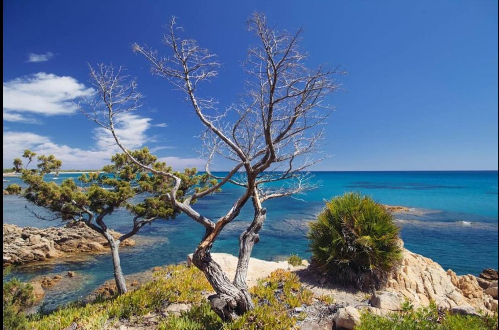 Villa Vera Trifamigliare Con Ingresso Diretto 20 Mt Al Mare Clima Wi-Fi Bbq カーラ・リベロット エクステリア 写真